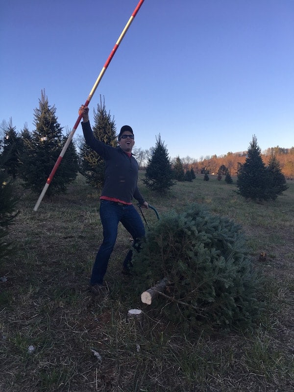 man cutting down christmas tree at tree farm