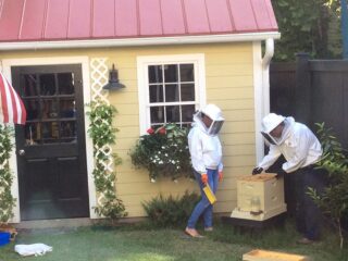 beekeepers with backyard beehive