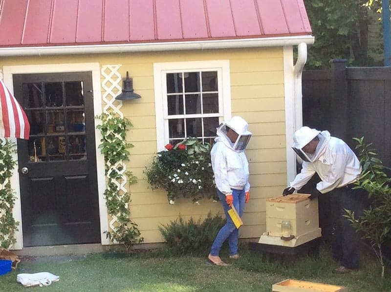 urban beekeepers with backyard beehive