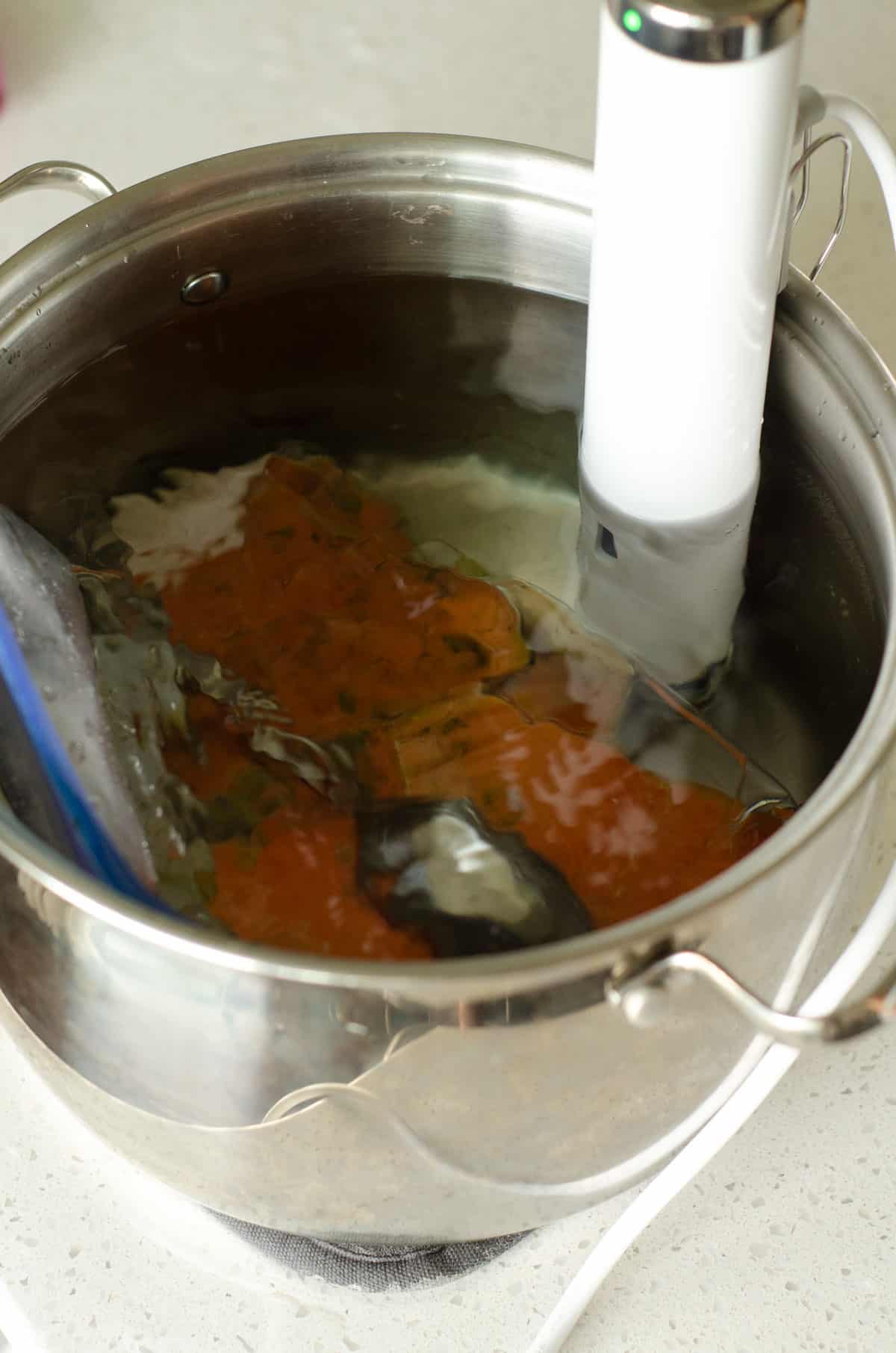 sous vide in pot with bag of salmon in it with spoon on top
